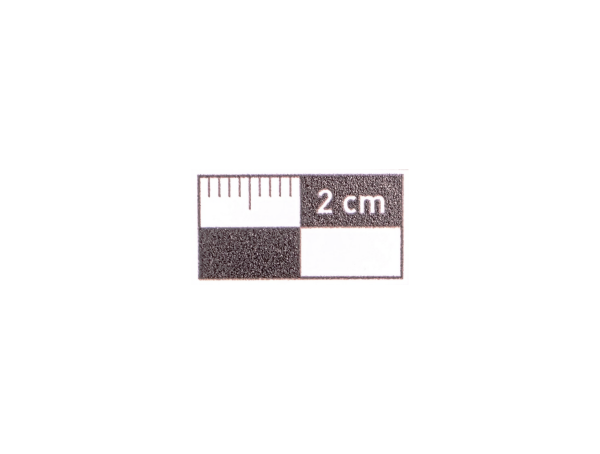 2 cm Siyah  Fotoğraf Ölçeği