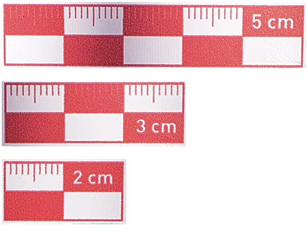 2-3-5 cm Kırmızı  Fotoğraf Ölçeği Seti