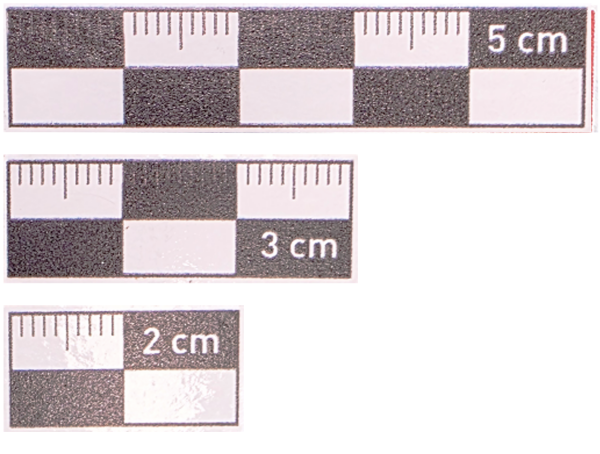 2-3-5 cm Mini Siyah  Fotoğraf Ölçeği Seti