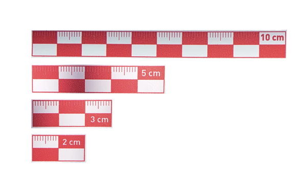 2-3-5-10 cm Kırmızı  Fotoğraf Ölçeği Seti