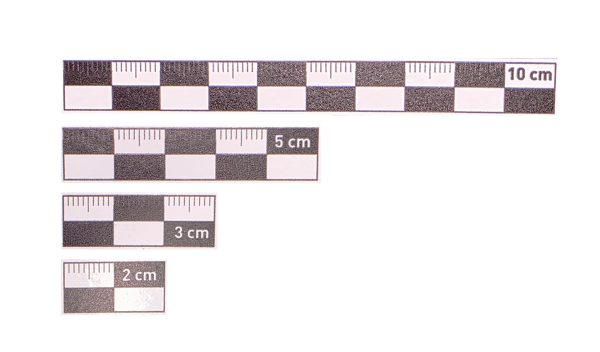 2-3-5-10 cm Siyah  Fotoğraf Ölçeği Seti