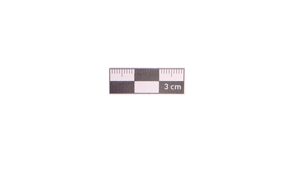 3 cm Siyah  Fotoğraf Ölçeği