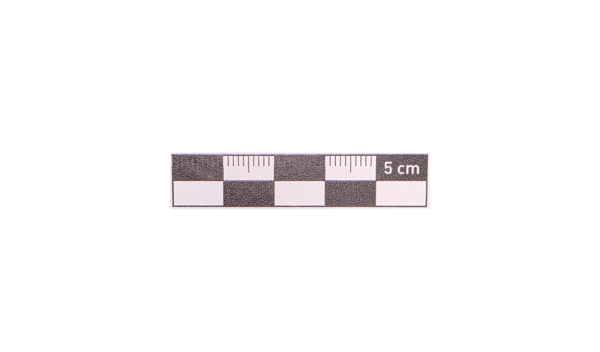 5 cm Siyah  Fotoğraf Ölçeği