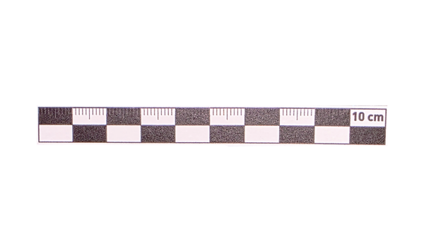 10 cm Siyah  Fotoğraf Ölçeği