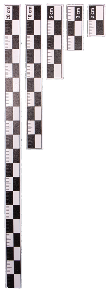Siyah-Beyaz Mini Arkeolojik Fotoğraf Ölçek Seti