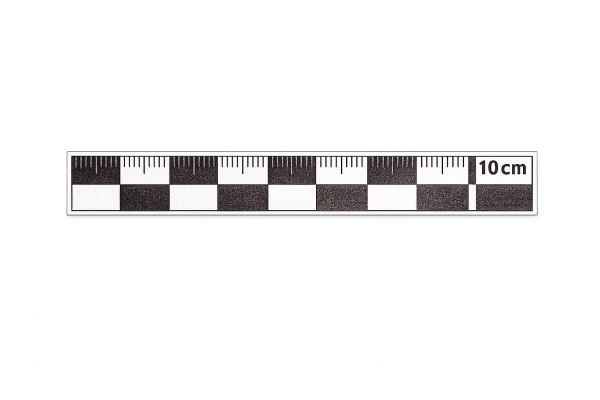 10 cm Siyah-Beyaz Arkeolojik Fotoğraf Ölçeği