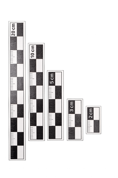 Siyah-Beyaz Mini Arkeolojik Fotoğraf Ölçek Seti