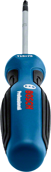 Bosch Profesyonel Torx Tornavida TX15x75