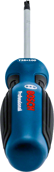 Bosch Profesyonel Torx Tornavida TX25x100