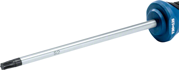 Bosch Profesyonel Torx Tornavida TX30x125