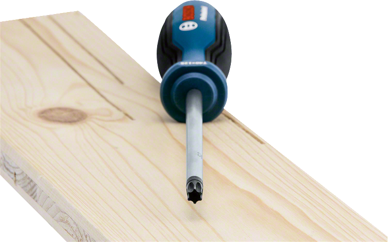 Bosch Profesyonel Torx Tornavida TX40x125