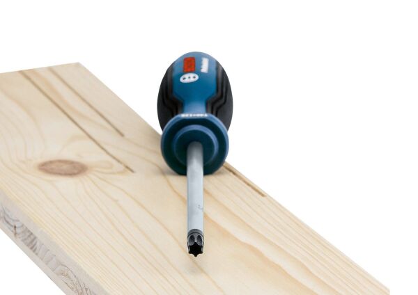 Bosch Profesyonel Torx Tornavida Seti 6 Parça